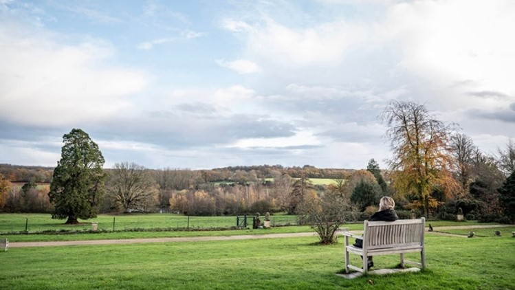 An image of a landscape - a blue sky, green grass with a path lined with trees and a person sitting on a bench looking out into the distance.