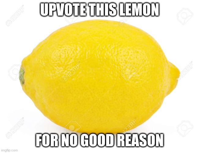 A picture of lemon with caption 'Upvote this lemon for no good reason'