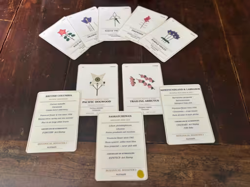 Some micro-art handmade botanical Canadian trading cards on a wooden table