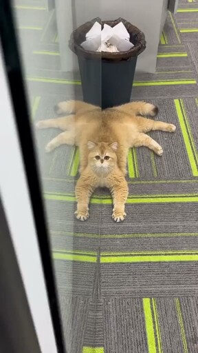 Octopussy