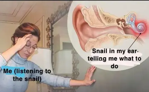 A picture of a person with their hand on their head and eyes closed, to imply a ear-ache. Next to it is a diagram of an ear with a part that looks like a snail highlighted in red, to imply the pain is coming from there. The person has text saying "Me (listening to the snail". The ear has text saying "Snail in my ear, telliing me what to do."