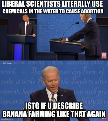 meme trump: Liberal Scientists literally use chemicals in the water to cause abortion. meme biden: istg if u describe banana farming like that again