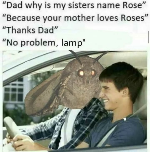 A teenager is learning to drive and is asking their moth father some questions. "Dad why is my sisters name Rose?" Father "Because your mother loves roses." Son "Thanks Dad". Father "No problem, lamp."