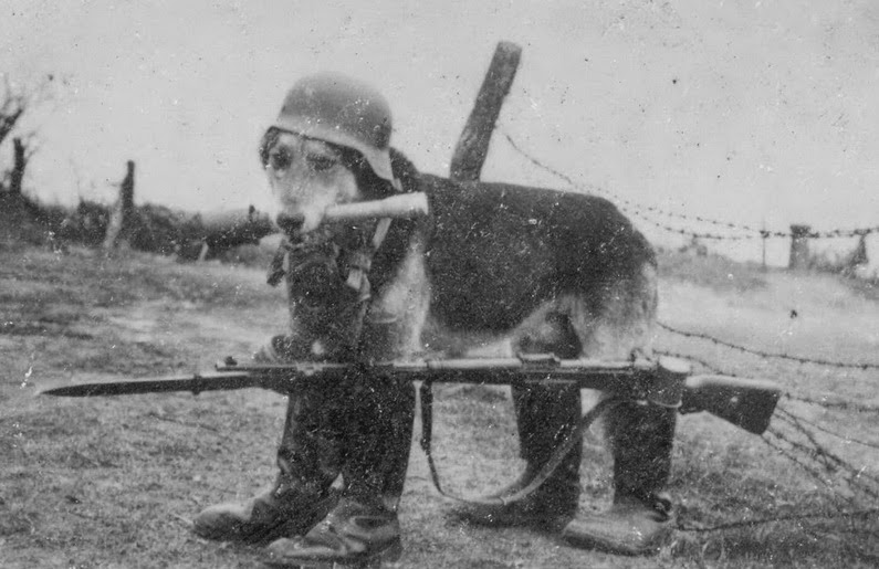 A dog (likely a German Shepherd) dressed in a Stahlhelm and combat boots. It is carrying a stick hand grenade in its mouth and the boots are holding up a rifle. Coincidentally, this warrior is also the one who committed the fewest war crimes of all Axis soldiers.