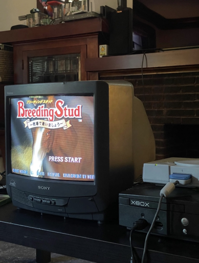 Rate my setup